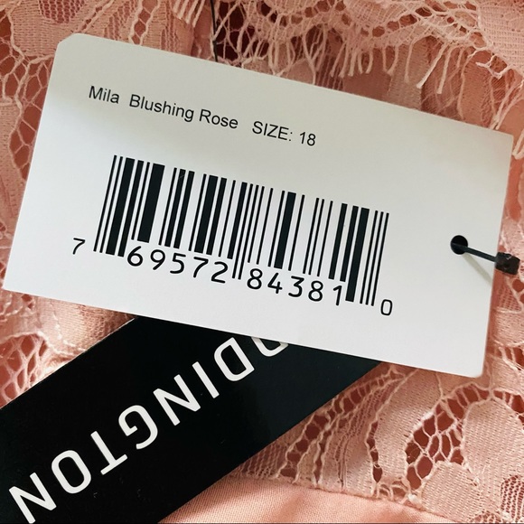 WEDDINGTON WAY by Adrianna Papell Mila Rose Blushing Rose Dress Sz 18 - Picture 2 of 16